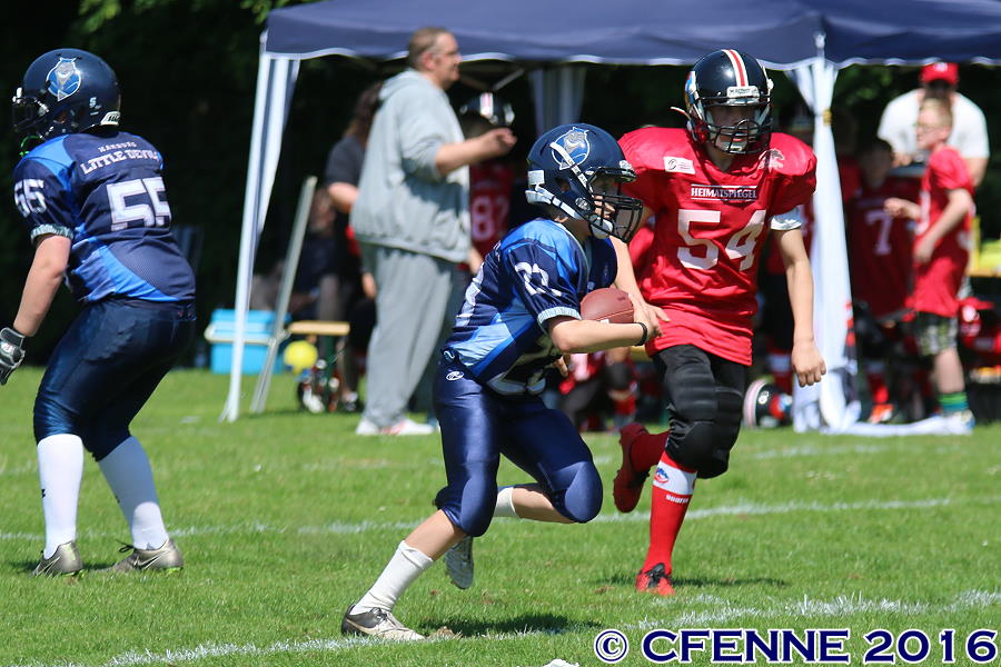 20160604hld-mustangs0617.jpg