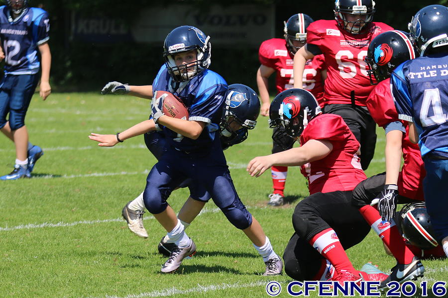 20160604hld-mustangs0692.jpg