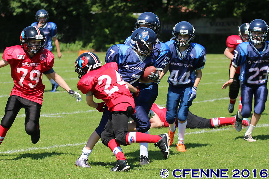 20160604hld-mustangs0701.jpg