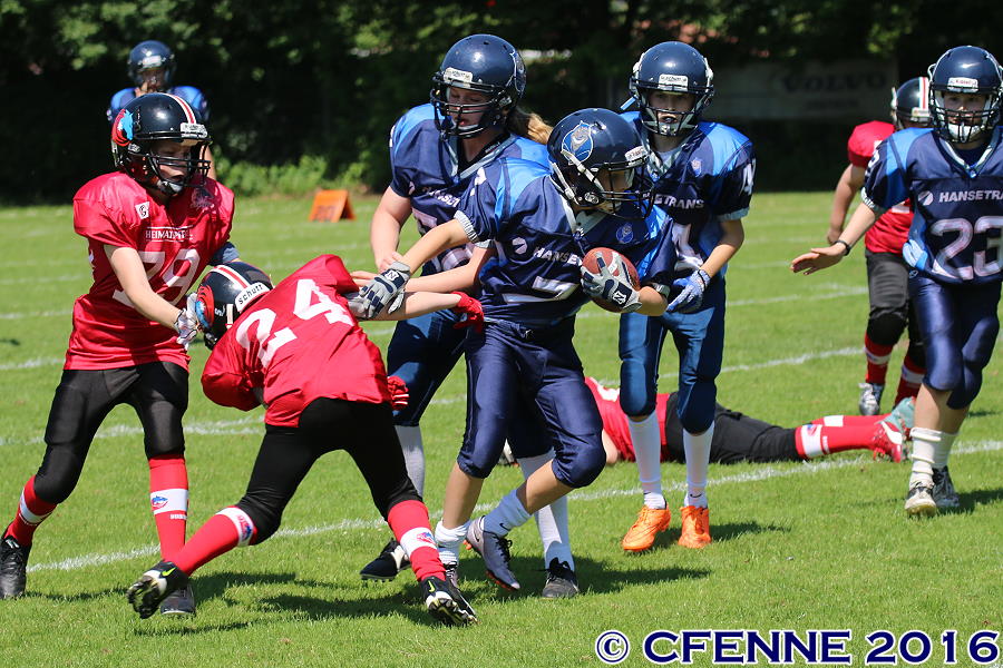 20160604hld-mustangs0702.jpg