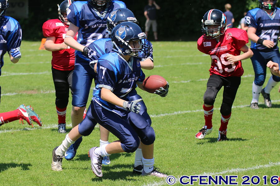 20160604hld-mustangs0708.jpg