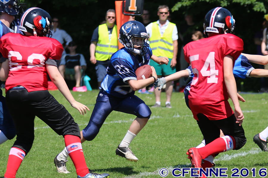 20160604hld-mustangs0736.jpg