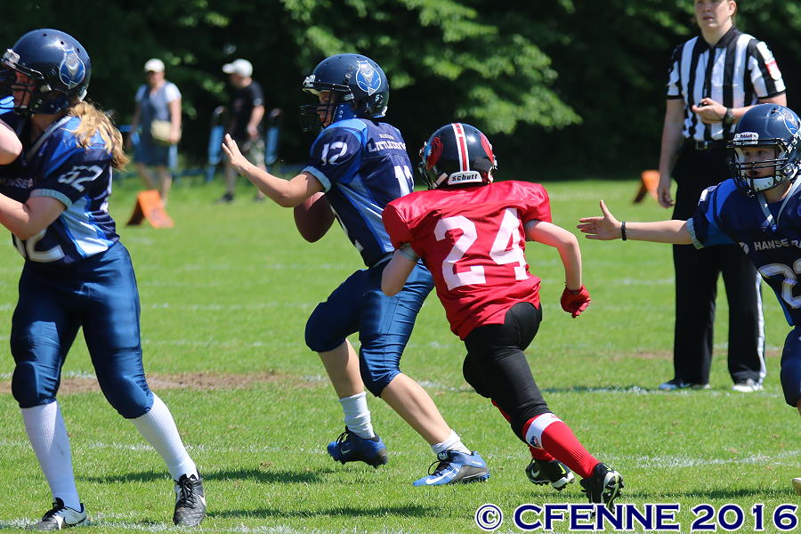 20160604hld-mustangs0797.jpg