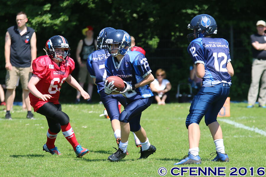 20160604hld-mustangs0843.jpg