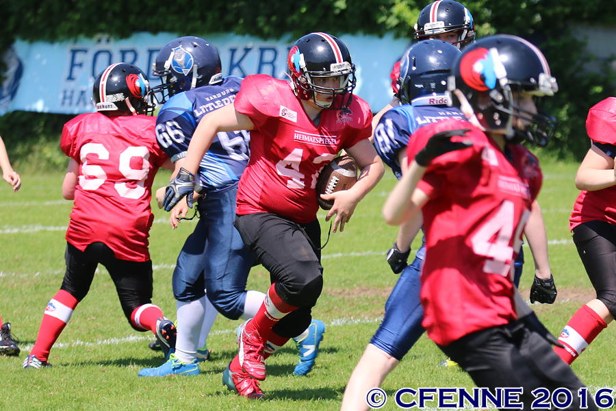 20160604hld-mustangs0903.jpg