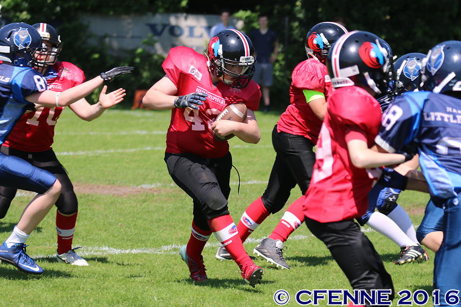 20160604hld-mustangs0907.jpg