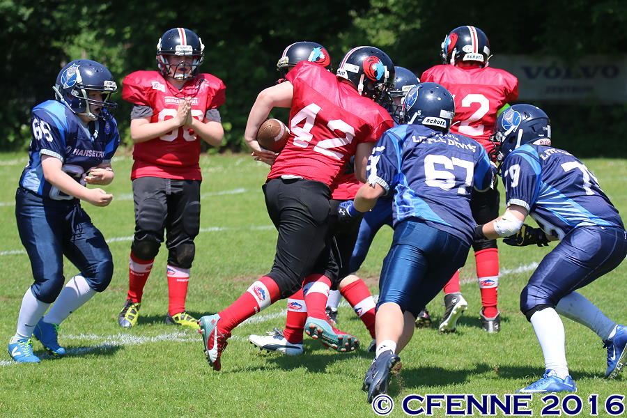 20160604hld-mustangs0930.jpg