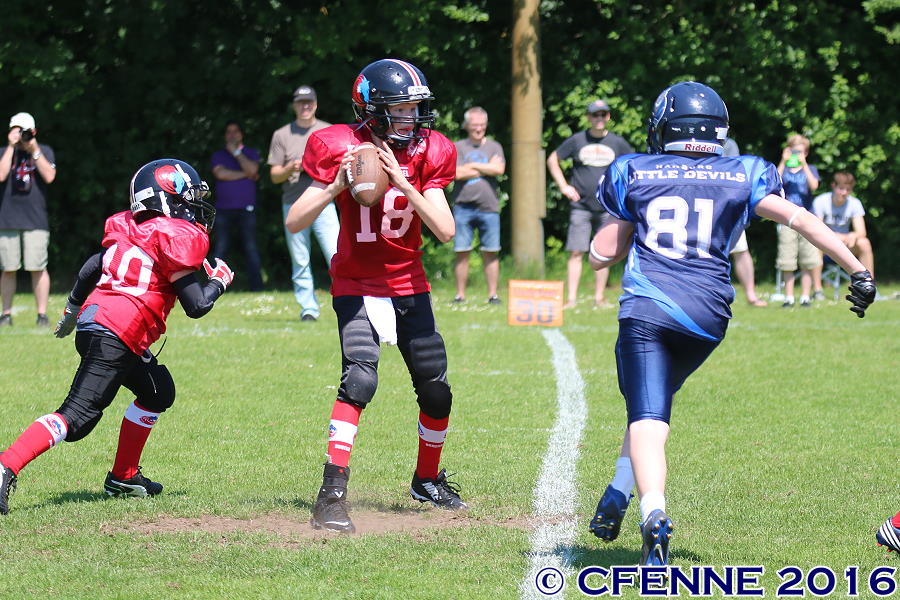 20160604hld-mustangs0940.jpg