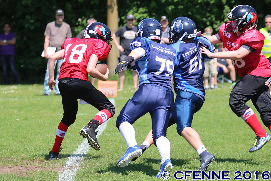 20160604hld-mustangs0945.jpg