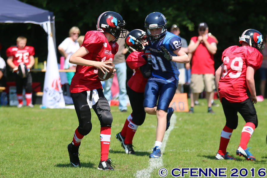 20160604hld-mustangs0971.jpg