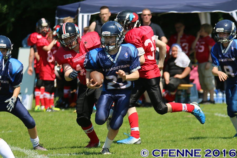 20160604hld-mustangs1000.jpg