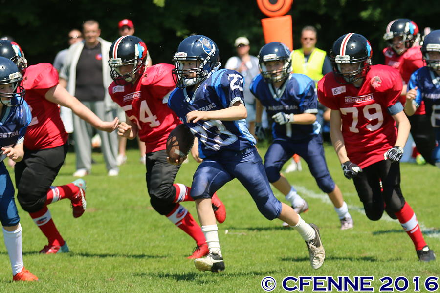20160604hld-mustangs1006.jpg