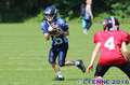 20160604hld-mustangs0159.jpg