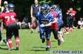 20160604hld-mustangs0847.jpg