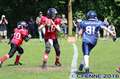 20160604hld-mustangs0940.jpg