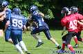 20160604hld-mustangs0981.jpg