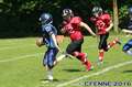 20160604hld-mustangs1015.jpg
