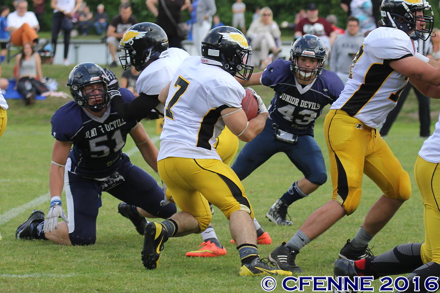 20160611hjd-adler0526.jpg