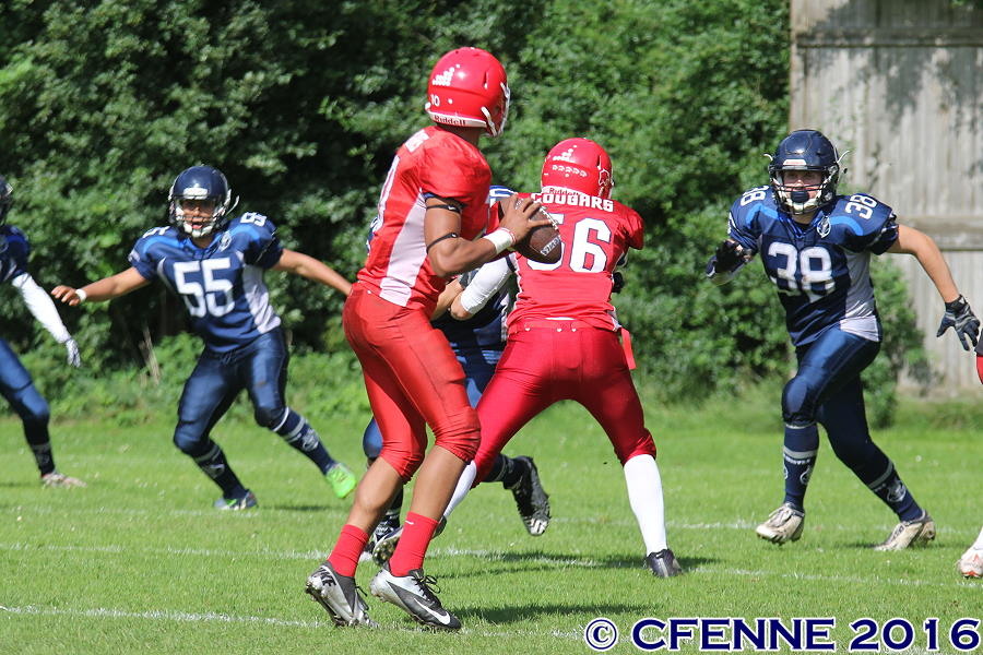 20160703hrd-cougars0807.jpg