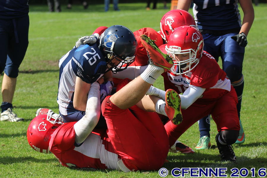 20160703hrd-cougars0923.jpg
