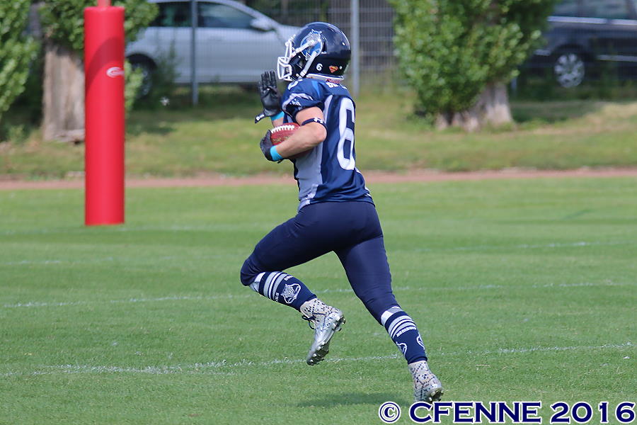 20160730ladylions-devilyns0289.jpg