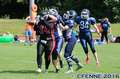 20160730ladylions-devilyns0174.jpg