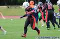 20160730ladylions-devilyns1015.jpg
