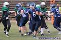 20160827shamrocks-devilyns0831.jpg