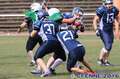 20160827shamrocks-devilyns0891.jpg