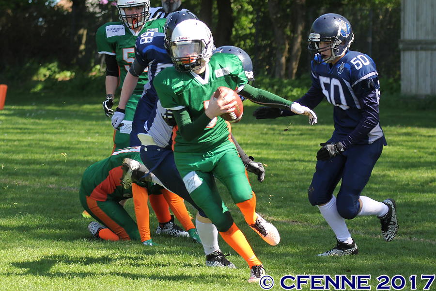 20170514hrd-canes210.jpg
