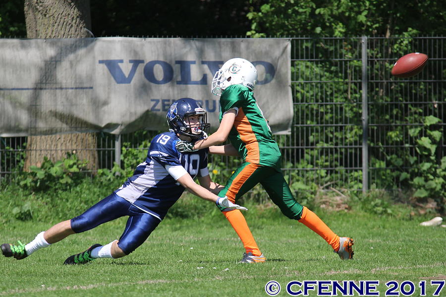 20170514hrd-canes593.jpg