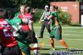 20170528piosnappers-flagcanes743.jpg