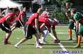 20170528piosnappers-flagcanes759.jpg