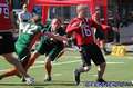 20170528piosnappers-flagcanes769.jpg
