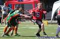 20170528piosnappers-flagcanes770.jpg