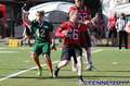 20170528piosnappers-flagcanes778.jpg